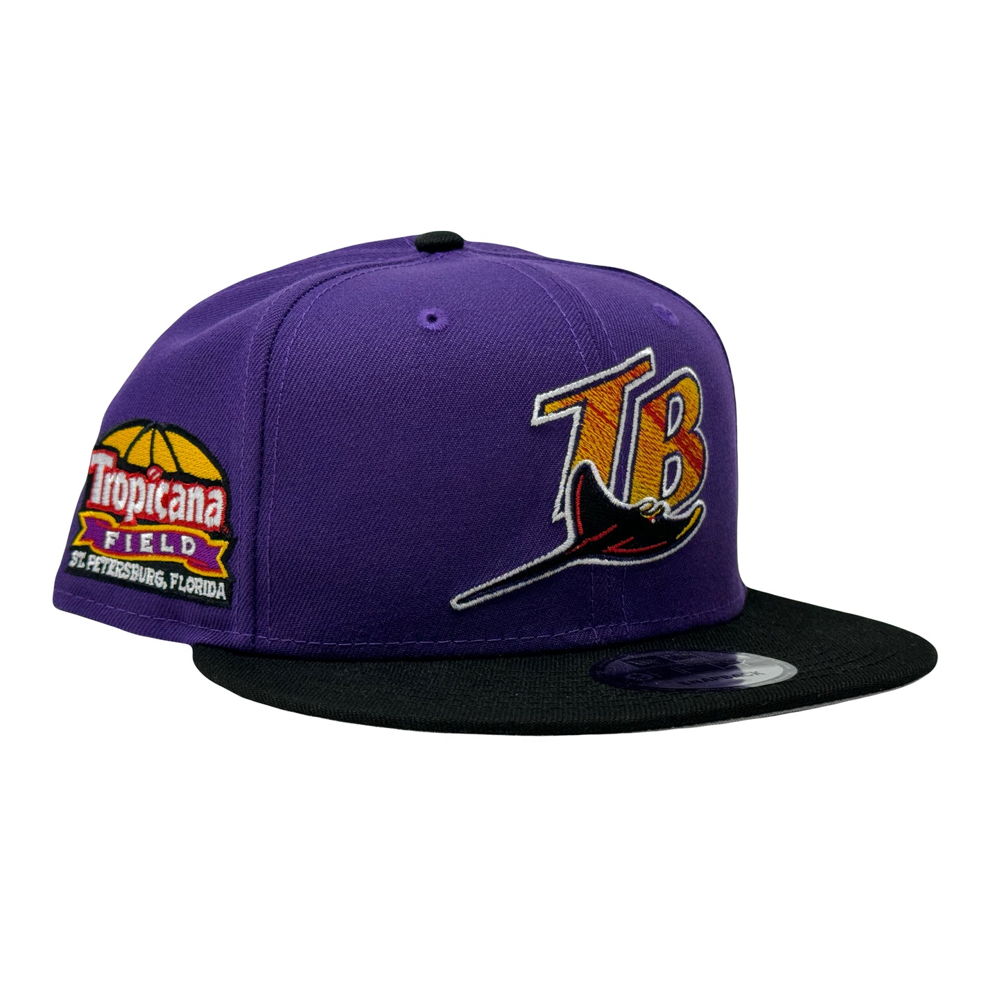 Tampa Bay Devil Rays Tropicana Field 9Fifty New Era Snapback Hat
