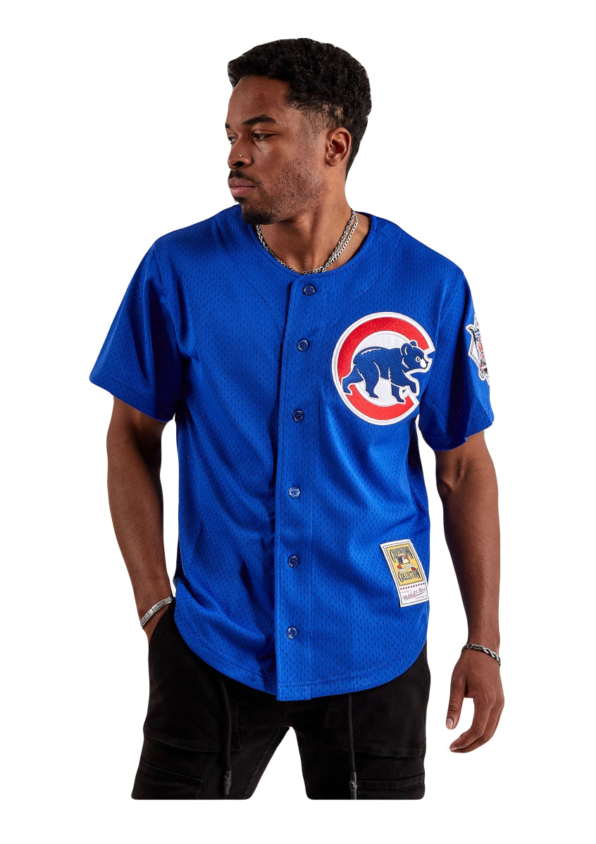Mitchell & Ness Youth Ryne Sandberg Chicago Cubs BP Button Down Jersey