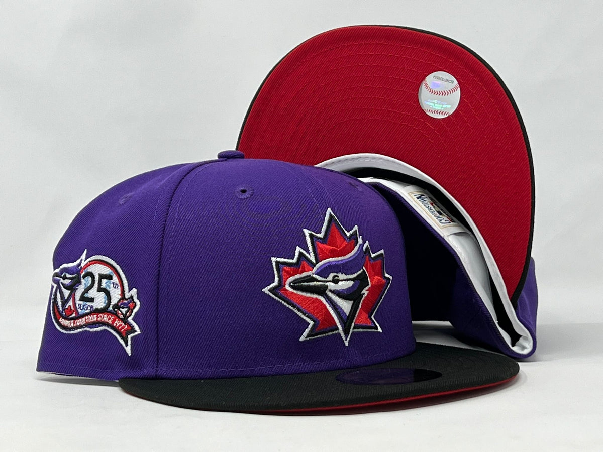 Sky Blue Toronto Blue Jays 25th Anniversary New New Era Fitted Hat – Sports  World 165