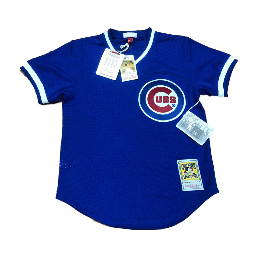 Men’s Chicago Cubs Ryne Sandberg Mitchell & Ness White Authentic Jersey - S
