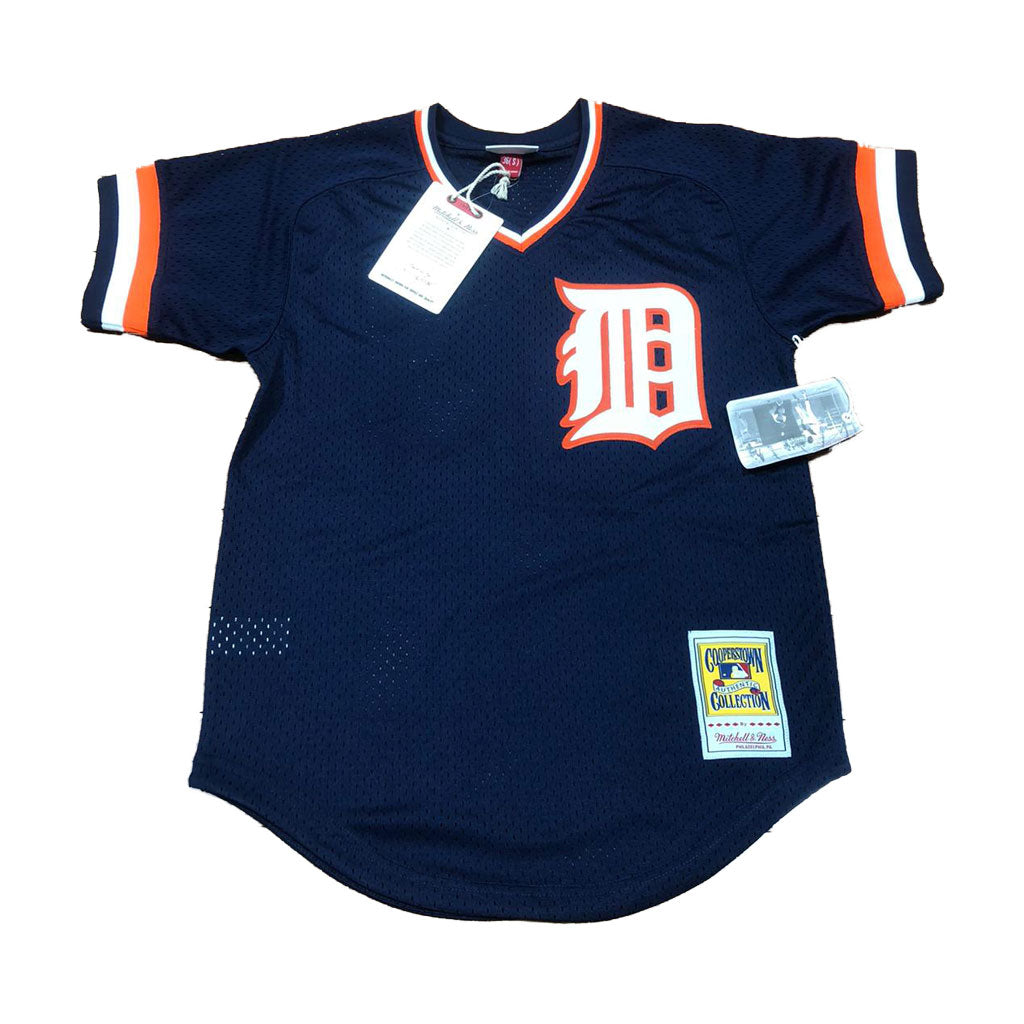 detroit tigers mitchell and ness jersey