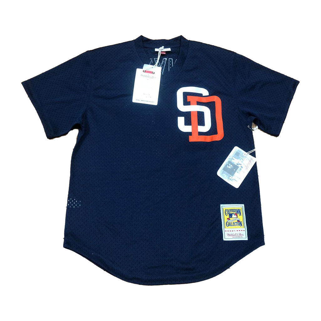 Men's Mitchell and Ness San Diego Padres #19 Tony Gwynn Authentic  White/Blue Strip Throwback MLB
