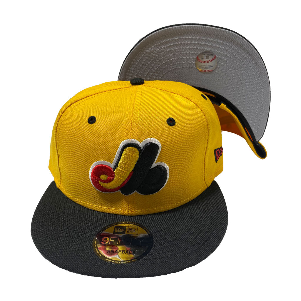 Montreal Expos Team Stripe 9Forty Snapback – Harrisburg Senators Official  Store