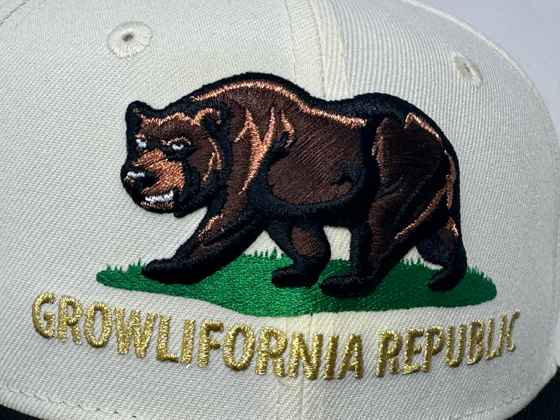 Fresno Grizzlies 20th Anniversary  Growlifornia Republic Gray Brim Minor League New Era Fitted Hat