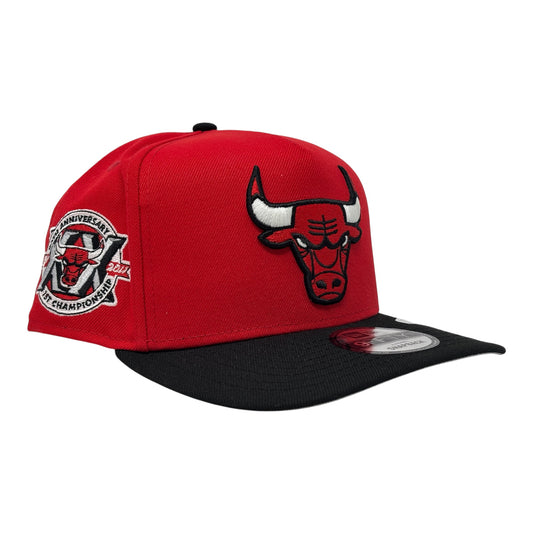 Chicago Bulls 20th Anniversary 9Fifty A-Frame Snapback Hats-Red