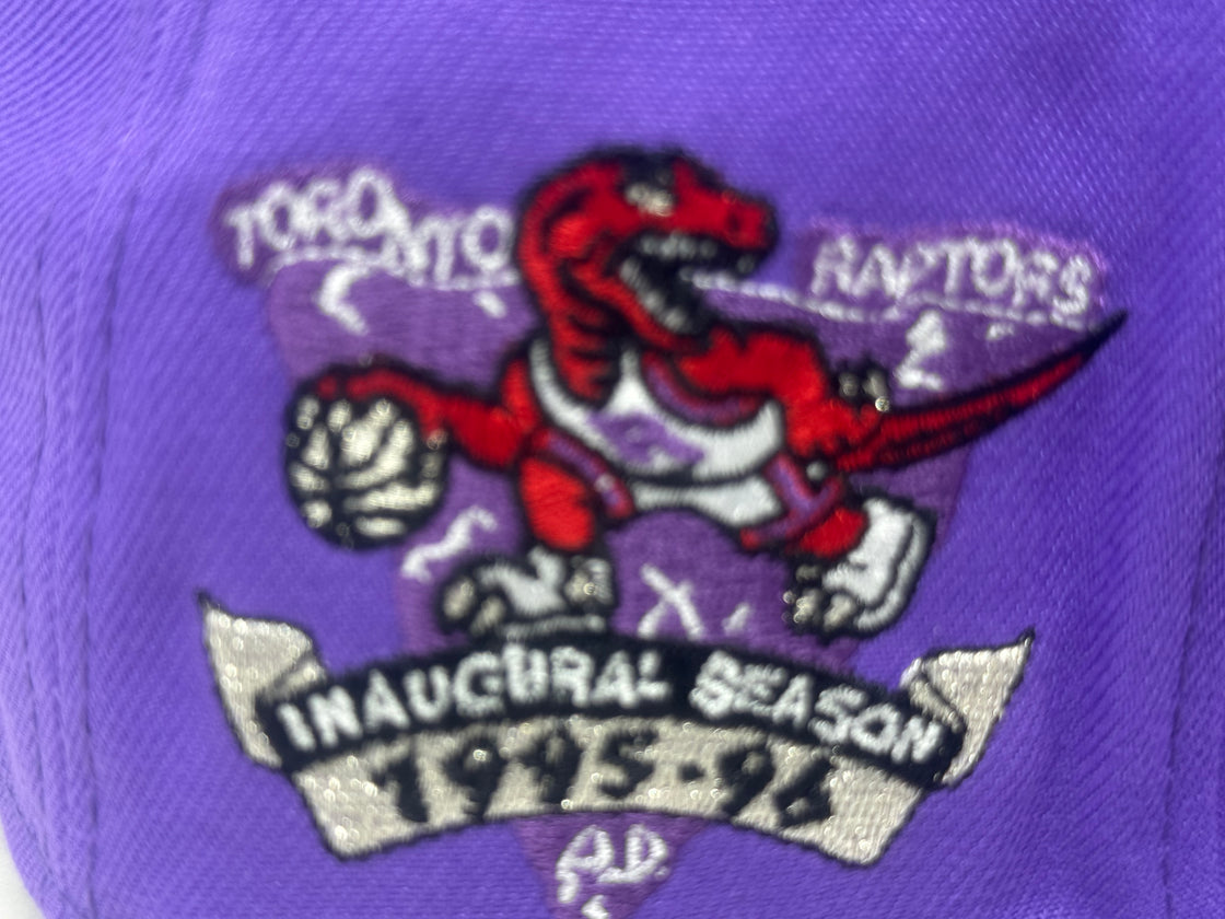 Toronto Raptors Purple Hardwood Classics Fitted Hat
