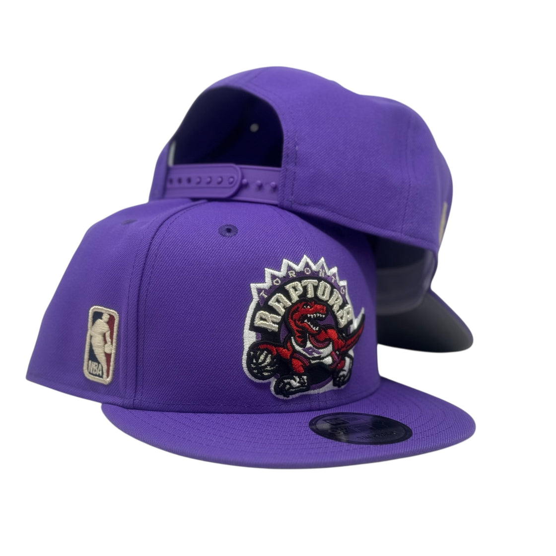 Toronto Raptors Hardwood Classics Team Snapback Hat-Purple