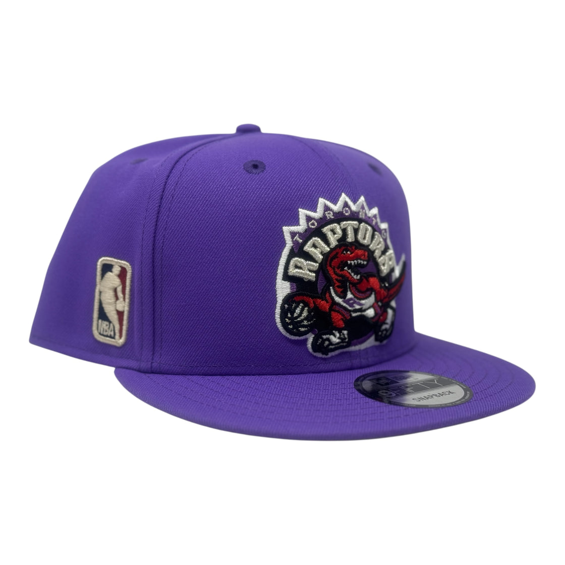 Toronto Raptors Hardwood Classics Team Snapback Hat-Purple