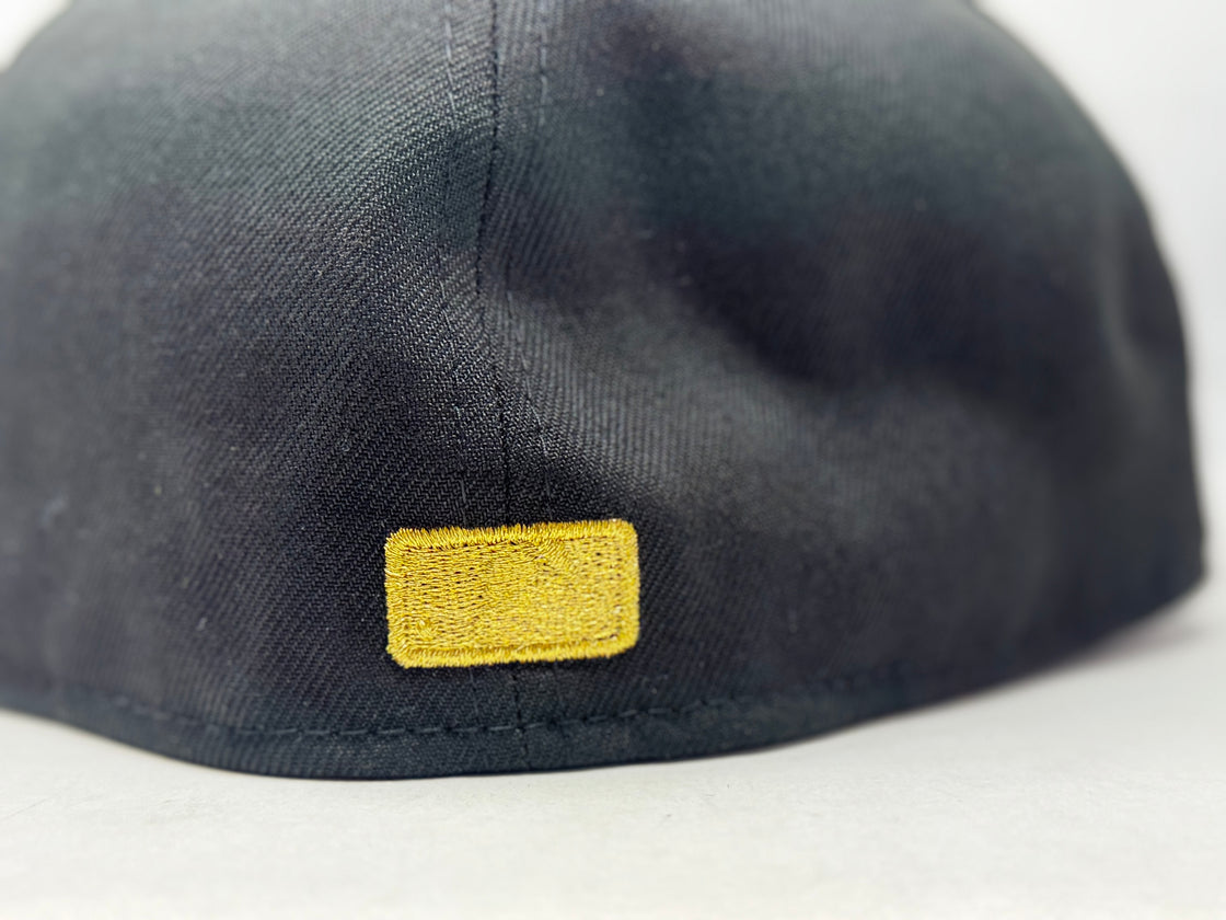 Houston Astros 2022 World Series Fitted Hats-Black Gray