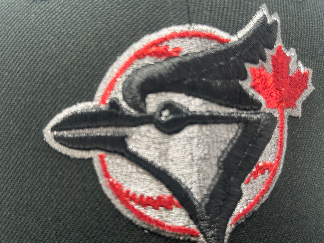 Toronto Blue Jays 1993 World Series 