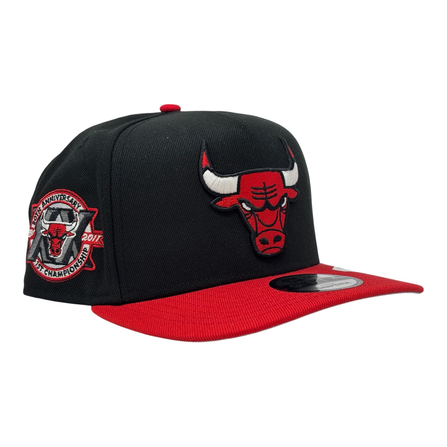Chicago Bulls 20th Anniversary 9Fifty A-Frame Snapback Hats