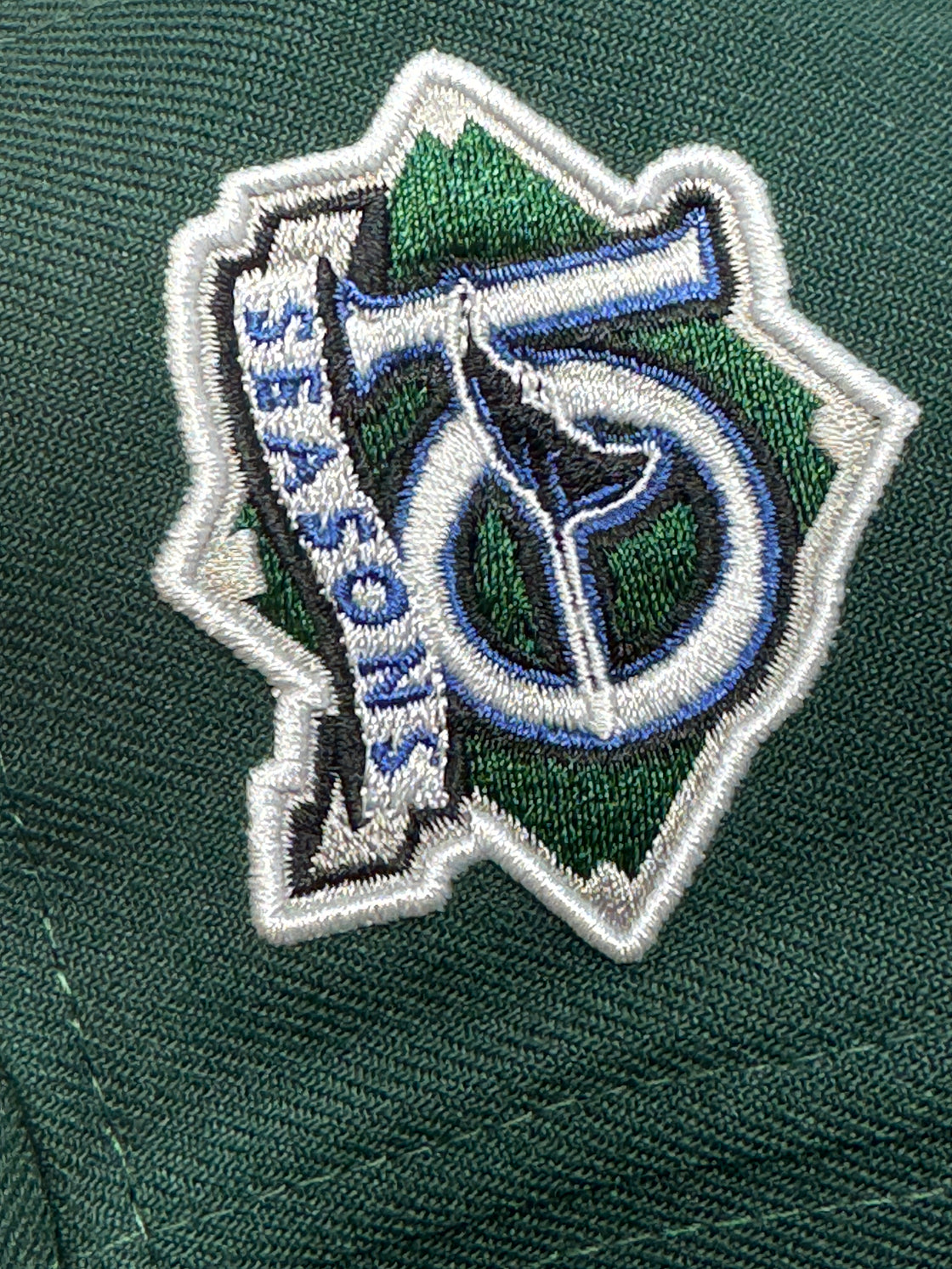 Tampa Bay Devil Rays 10th Seasons Dark Green 59Fifty New Era Fitted Hat