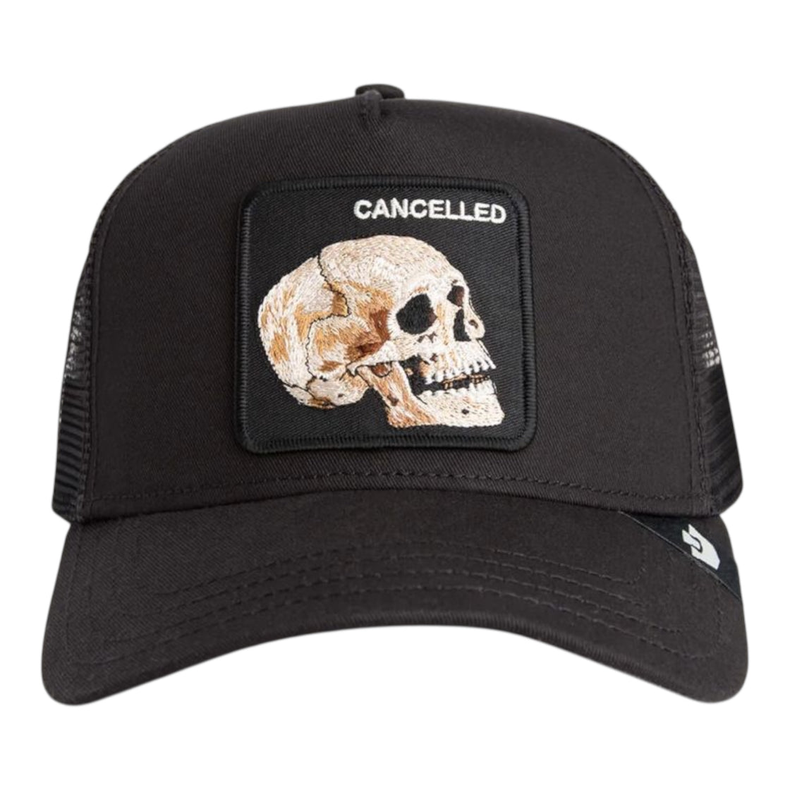 The   Cancelled   Skull