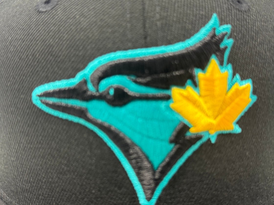Toronto Blue Jays 1993 World Series Fitted Hats to Match Jordan Gamma 11