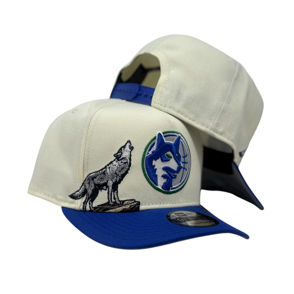 Minnesota Timberwolves Hardwood Classics Team Snapback Hat