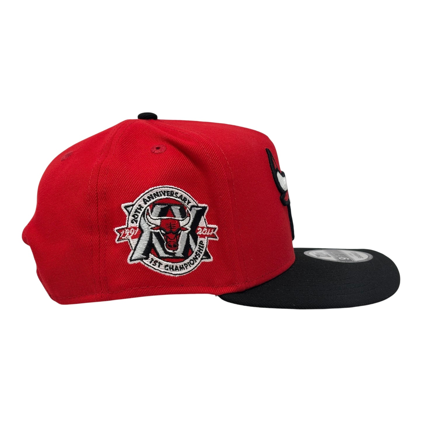 Chicago Bulls 20th Anniversary 9Fifty A-Frame Snapback Hats-Red
