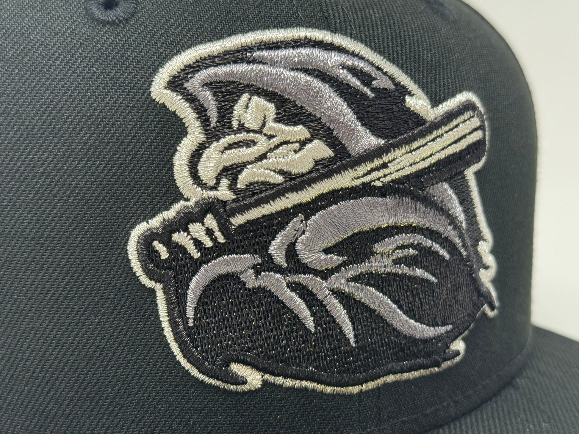 Rochester red wings Minor league Baseball fitted hat-Black