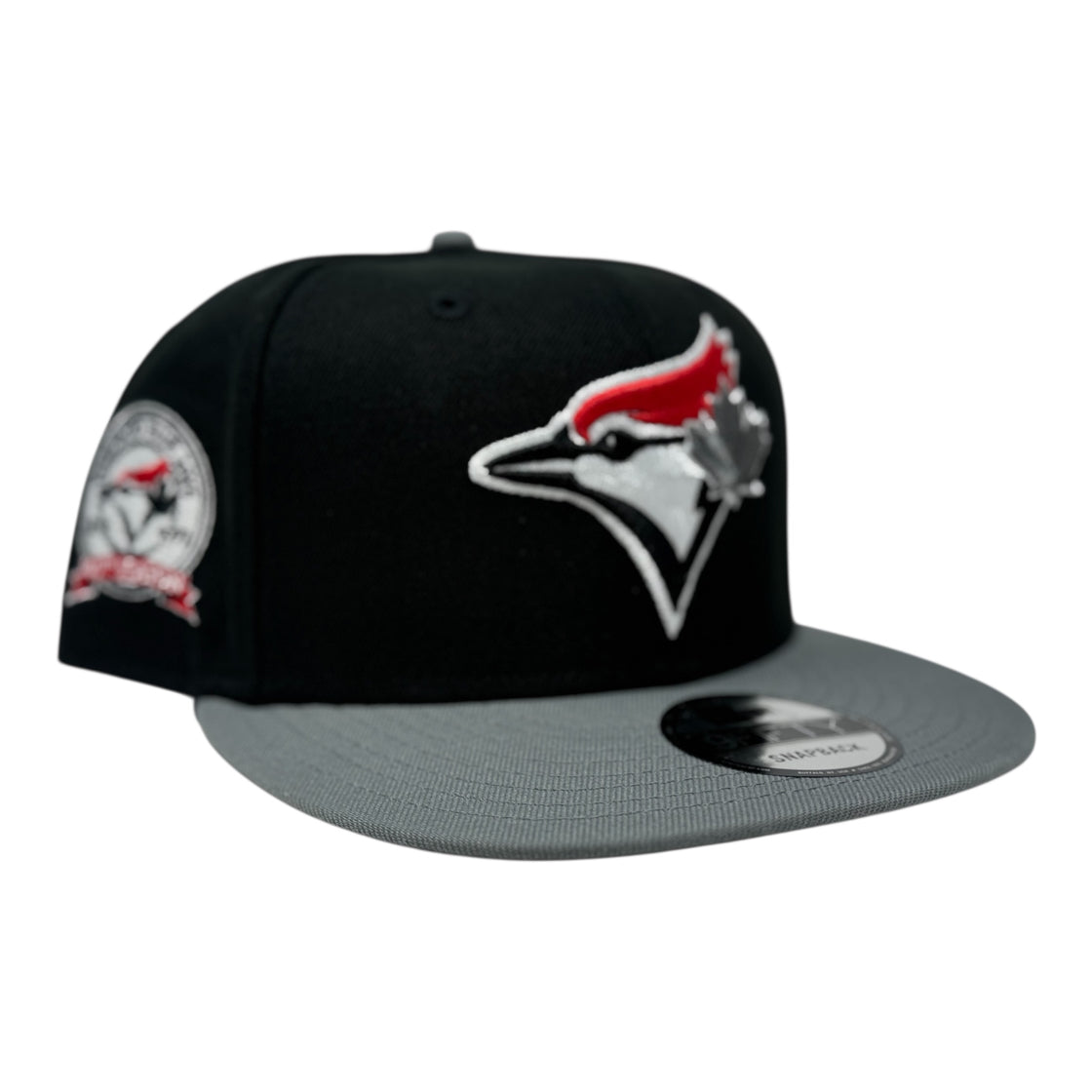 Toronto Blue Jays 40th Anniversary Snapback hat Black/silver