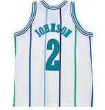 Charlotte Hornets Larry Johnson 1992-93 Jersey Mitchell and Ness Swingman Jersey