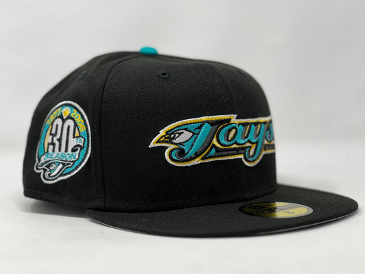 Toronto Blue Jays 30th Anniversary Gray Brim New Era Fitted Hat to Match Jordan Gamma 11