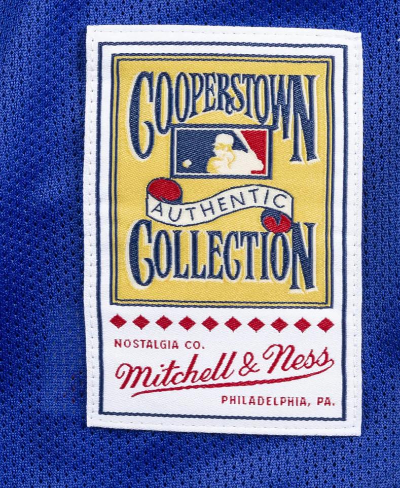 Authentic Mike Piazza New York Mets 1999 Button Front Jersey