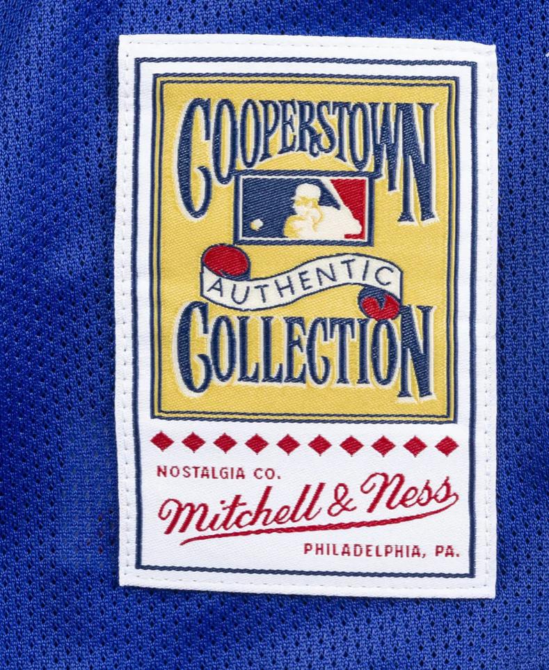  Mike Piazza Mets JERSEY Collection COLLECTORS PIN SOLD