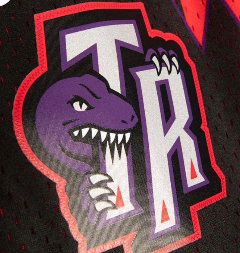 Swingman Toronto Raptors 1998 Shorts