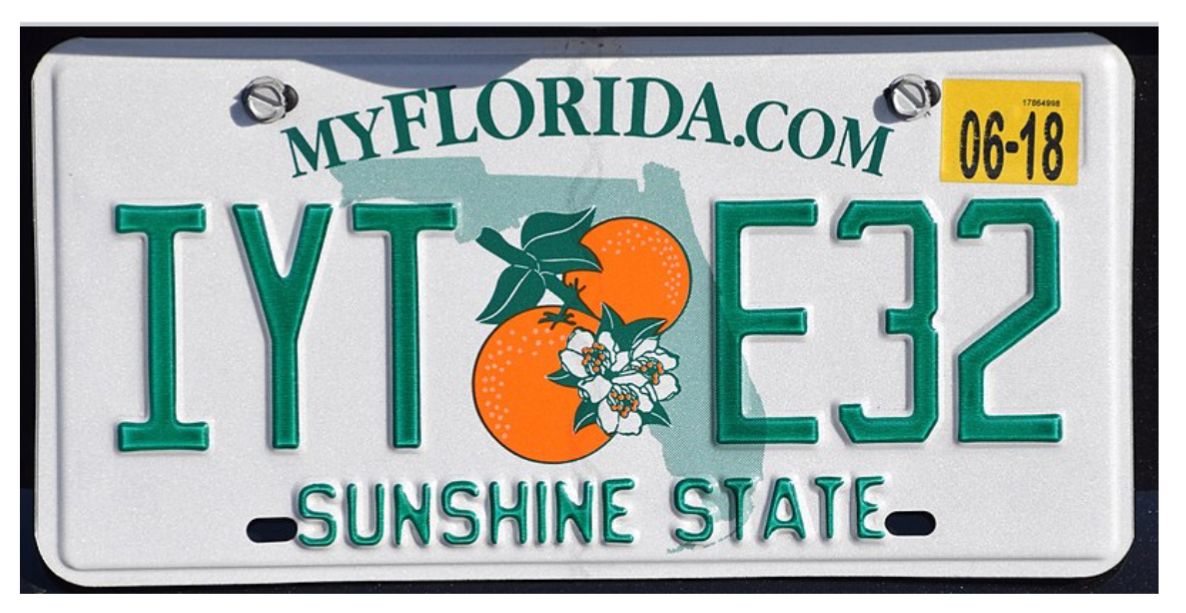 Marlins Fan Florida State License Plate Tag Magnet M-10799