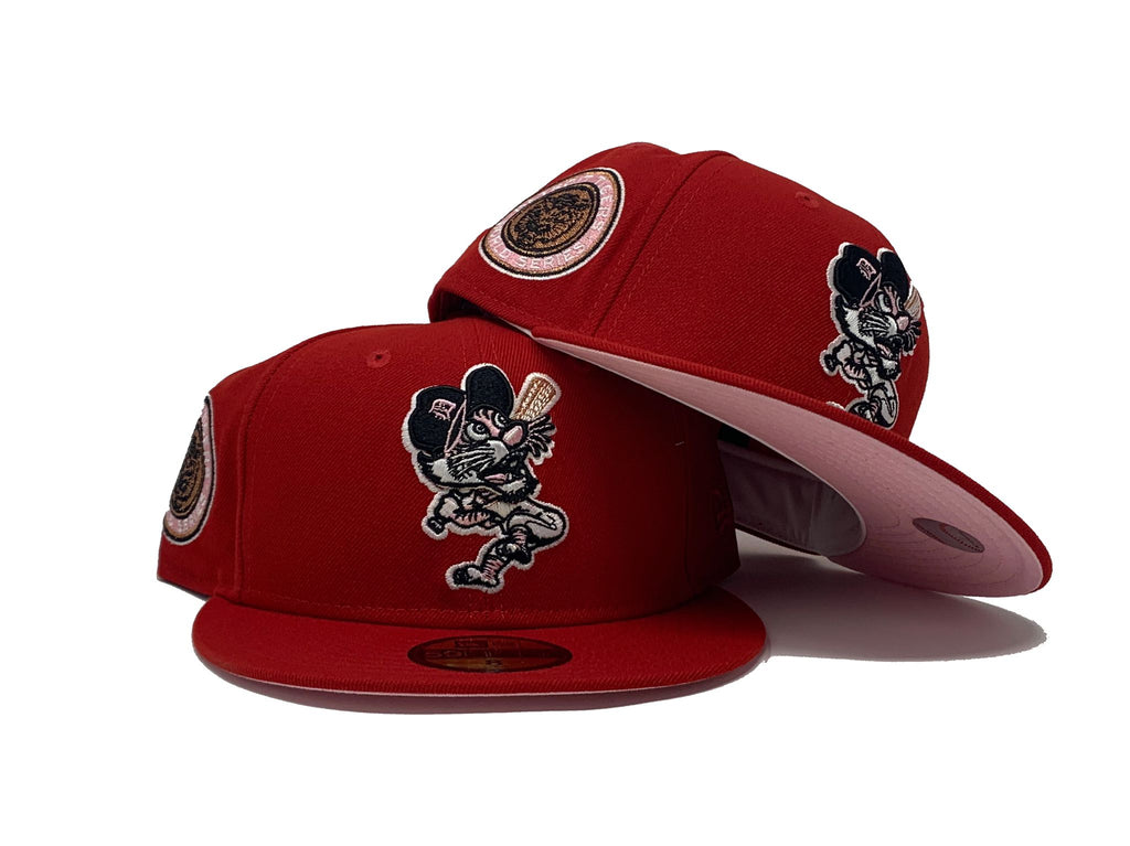 DETROIT TIGERS 1968 WORLD SERIES 