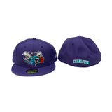 Charlotte Hornets Purple New Era Fitted Hat