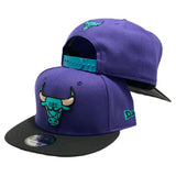Chicago Bulls NBA 9Fifty New Era Snapback Hat