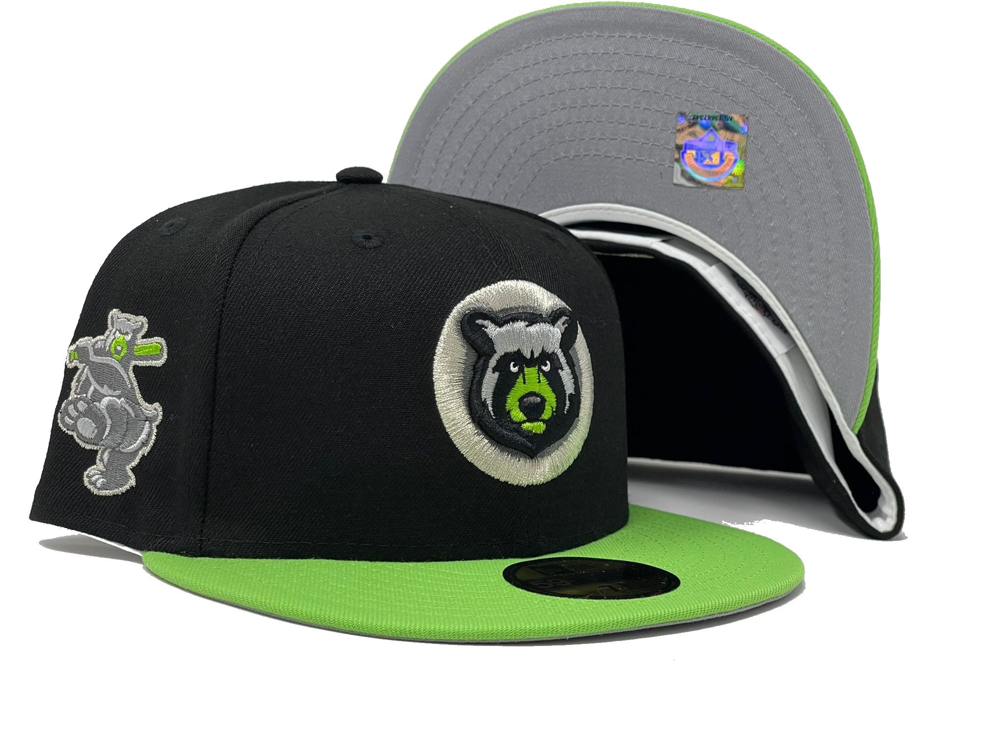 Portland Sea Dogs SnapBack Hat Cap Gray Lime Green MILB Minor League  Baseball