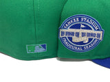 New York Yankees 2009 World Series Save The Planet Fitted Hat