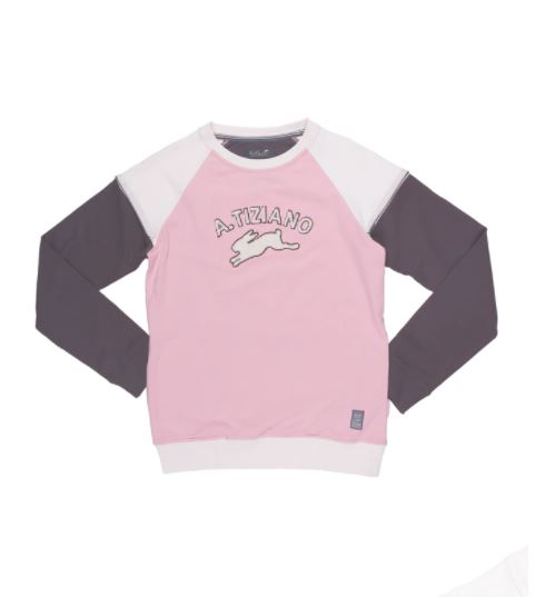Rose Avery | Men's Long Sleeve French Terry Color Block Crew
